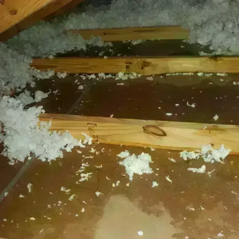 Attic Water Damage in Bennington, NE